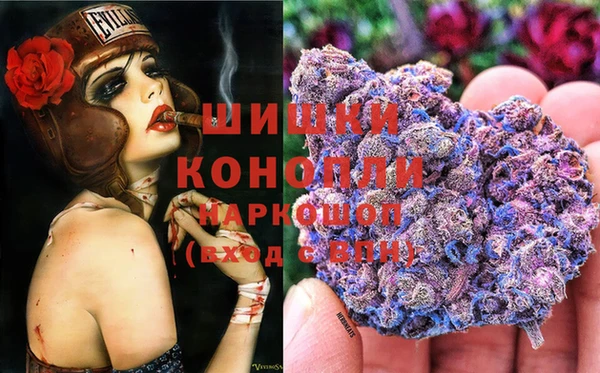 крисы Новозыбков